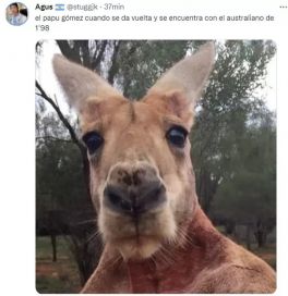 Los mejores memes después del triunfo de la Scaloneta ante Australia