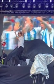 Harry Styles sorprendió con su aparición en el escenario festejando el triunfo argentino