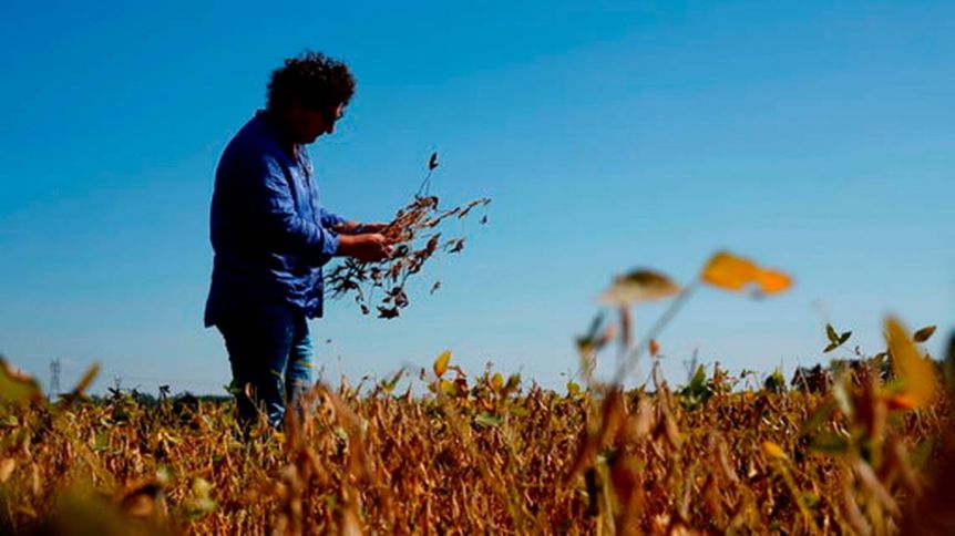 Sequía y crisis: tres de cada cuatro productores agropecuarios prefieren no invertir
