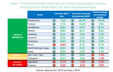 Cuáles son los áreas más favorecidas y más perjudicadas en la creación de empleos