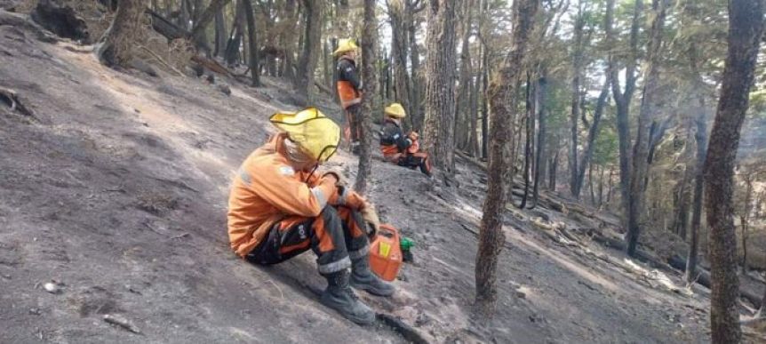 Tierra del Fuego: los incendios arrasaron 10 mil hectáreas y continúan las alertas