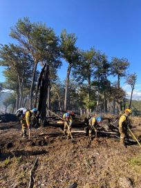 Tierra del Fuego: los incendios arrasaron 10 mil hectáreas y continúan las alertas