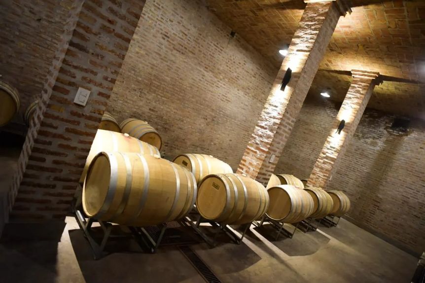 Es ley la iniciativa que promueve la industria vitivinícola en la Provincia