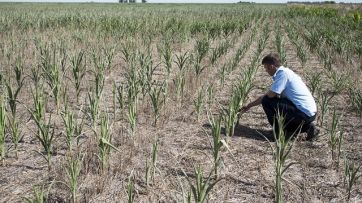 El campo espera el llamado del Gobierno para definir medidas en medio de una sequía histórica