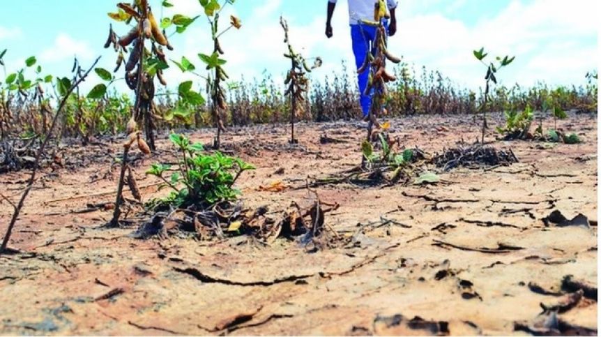 El campo espera el llamado del Gobierno para definir medidas en medio de una sequía histórica