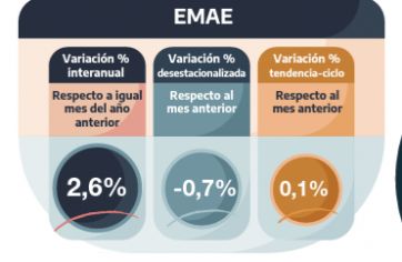 Desaceleración: la actividad económica en noviembre cayó respecto de octubre
