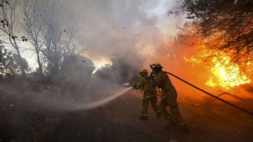 Patagonia: el impacto de los incendios