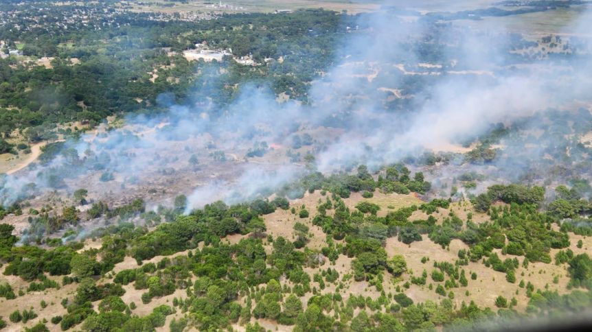Se desató un importante incendio forestal en Villa Gesell