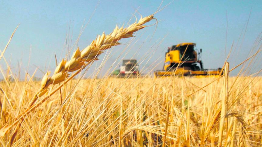En medio de las complicaciones por la sequía, crecieron las exportaciones agropecuarias