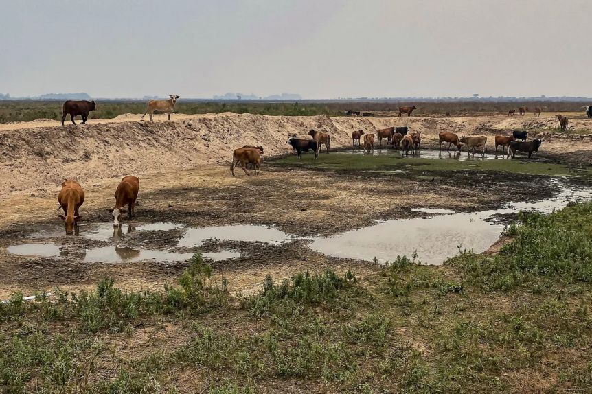 Nación escuchó y declaró la emergencia agropecuaria en municipios bonaerenses