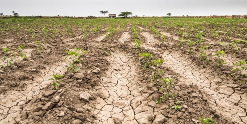 Sequía histórica y reclamo de medidas al Gobierno: lo que dejó la movilización