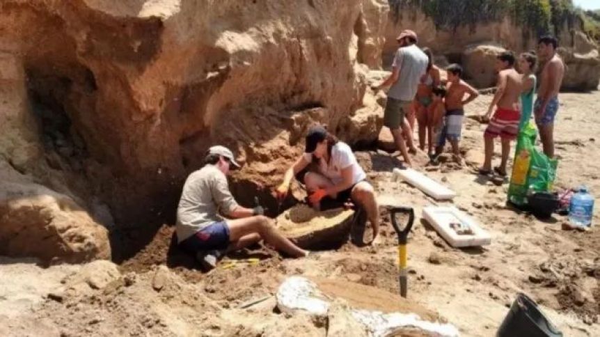 Importante hallazgo de dos niños en Mar del Plata: fósiles de 5 millones de años de antigüedad