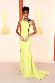 Los looks de las estrellas en la alfombra roja de los Premios Oscar 2023