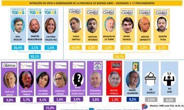 Tres varones, distintos partidos: los favoritos para gobernar la Provincia