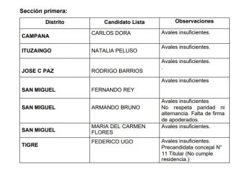 Distrito por distrito, todas las listas observadas de UP: quiénes son y los motivos