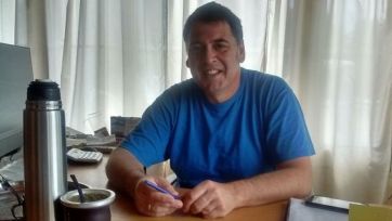 Los pollos se enfrentan a los gallos