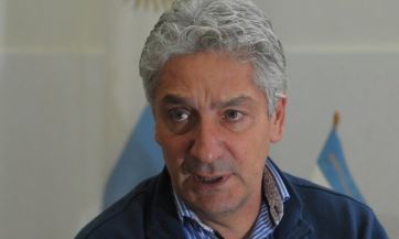 Los pollos se enfrentan a los gallos