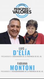 Quienes son los 23 precandidatos a la gobernación bonaerense