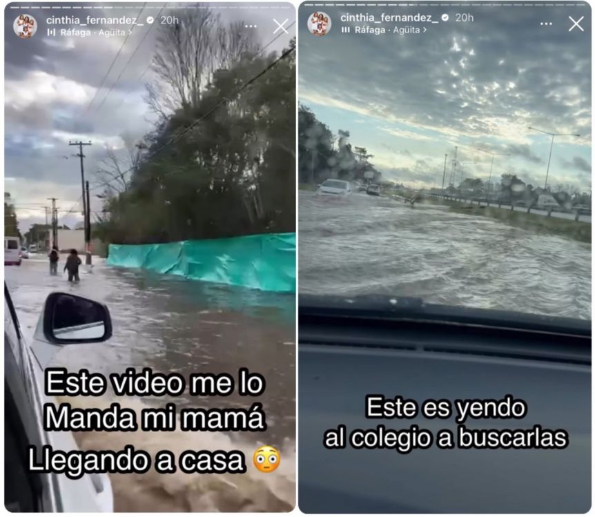 Cinthia Fernández contó que se inundó y mostró la foto de un cocodrilo cerca de su casa