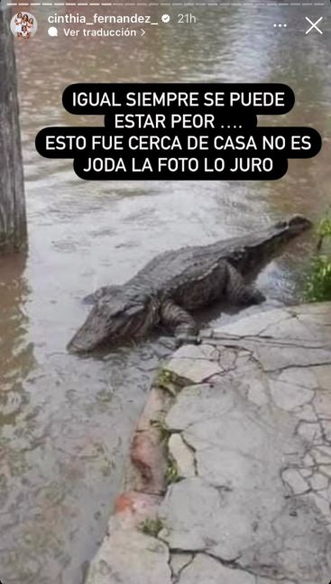 Cinthia Fernández contó que se inundó y mostró la foto de un cocodrilo cerca de su casa