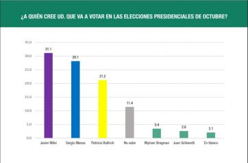 Balotaje o primera vuelta: a un mes de las elecciones, qué dicen las principales encuestas 
