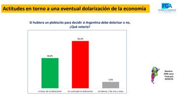 Qué opinan los argentinos sobre una posible dolarización de la economía