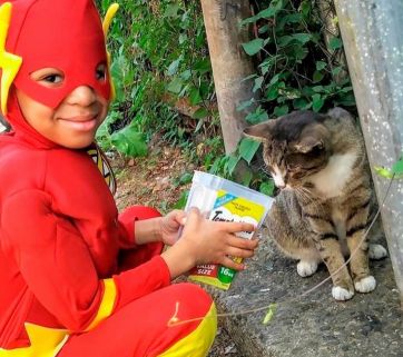 Un niño se disfraza de superhéroe para rescatar a gatitos callejeros