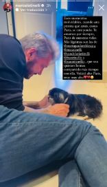 El desconsuelo de Marcelo Tinelli al despedir a su perrita en sus brazos: 