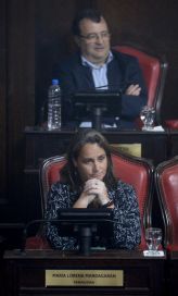 En fotos, todo lo mejor de la jura de los senadores electos