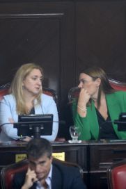 En fotos, todo lo mejor de la jura de los senadores electos