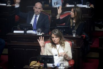 En fotos, todo lo mejor de la jura de los senadores electos