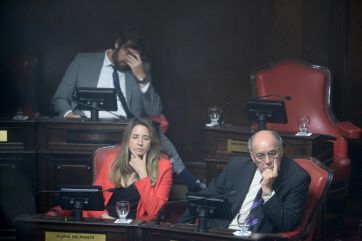 En fotos, todo lo mejor de la jura de los senadores electos