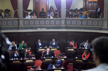 En fotos, todo lo mejor de la jura de los senadores electos