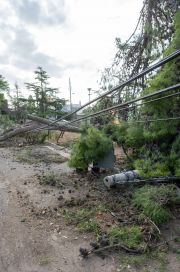 EDES restableció el servicio a más del 50% de los bahienses y despliega un operativo para reconstruir su red.