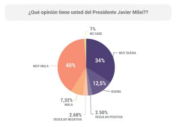 Gestión Milei: imagen, medidas y la nueva edición de una grieta renovada