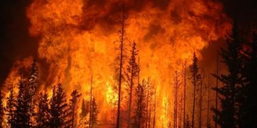 Impresionantes imágenes de los incendios en Chile con un saldo de 122 muertos