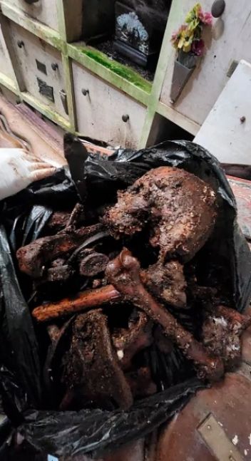 Horror y escándalo en el cementerio de La Plata: encontraron 500 ataúdes y 200 bolsas con restos humanos