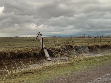 Preocupación en el campo: desde CARBAP relevan los daños causados por el temporal