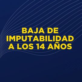 Piden bajar la edad de imputabilidad a los 14 años