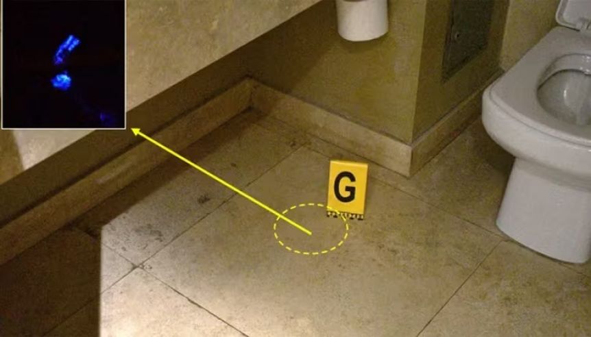 Abuso en Vélez: las impactantes fotos que tomaron los forenses en la habitación del hotel