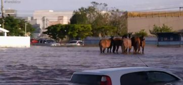 Inundaciones en el litoral con más de 500 evacuados por la crecida del río Uruguay