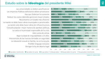 De sus mascotas a la economía: cuáles son las variables que mantienen arriba a Milei