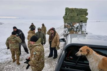 Por las bajas temperaturas, el Ejército trabaja intensamente para brindar asistencia en el sur del país