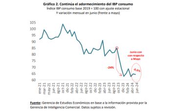 Siguen las consecuencias de la recesión: el consumo bonaerense cayó un 21% en junio