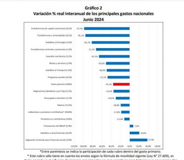 Superávit con ajuste: el gobierno redujo un 32% el gasto primario