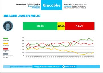 La imagen de Milei en picada: incertidumbre económica y enojo por no cumplir promesas