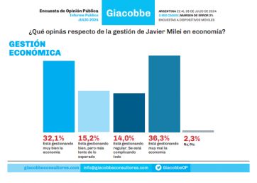 La imagen de Milei en picada: incertidumbre económica y enojo por no cumplir promesas