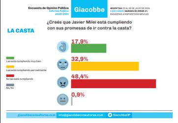 La imagen de Milei en picada: incertidumbre económica y enojo por no cumplir promesas