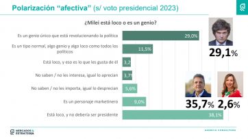 Apoyo y rechazo: la nueva grieta que se instaló con la gestión de Milei presidente