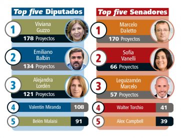 Legislatura bonaerense: el desempeño en el primer tiempo